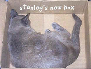 Stanley's New Box